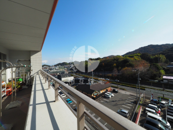 �o���R�j�[�@������œ�������ǍD