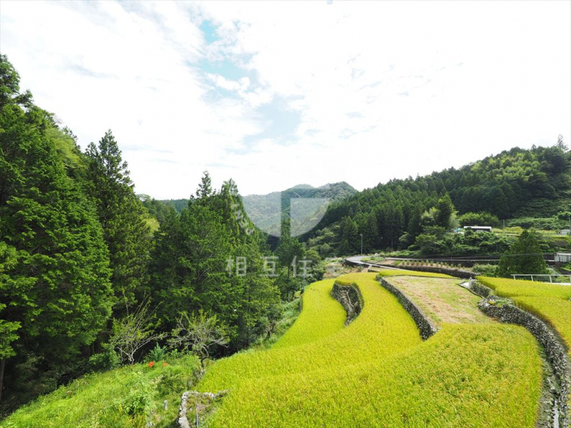 山奥で暮らす仁淀川町大植の平屋 高知県吾川郡仁淀川町大植2651｜成約