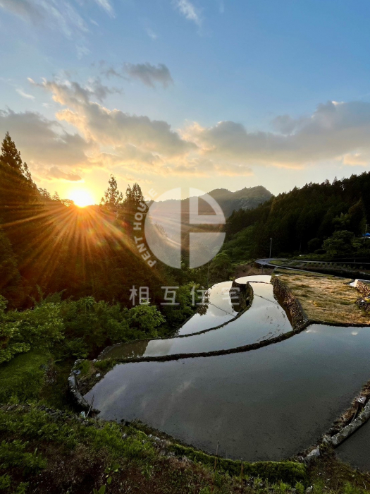山奥で暮らす仁淀川町大植の平屋 高知県吾川郡仁淀川町大植2651